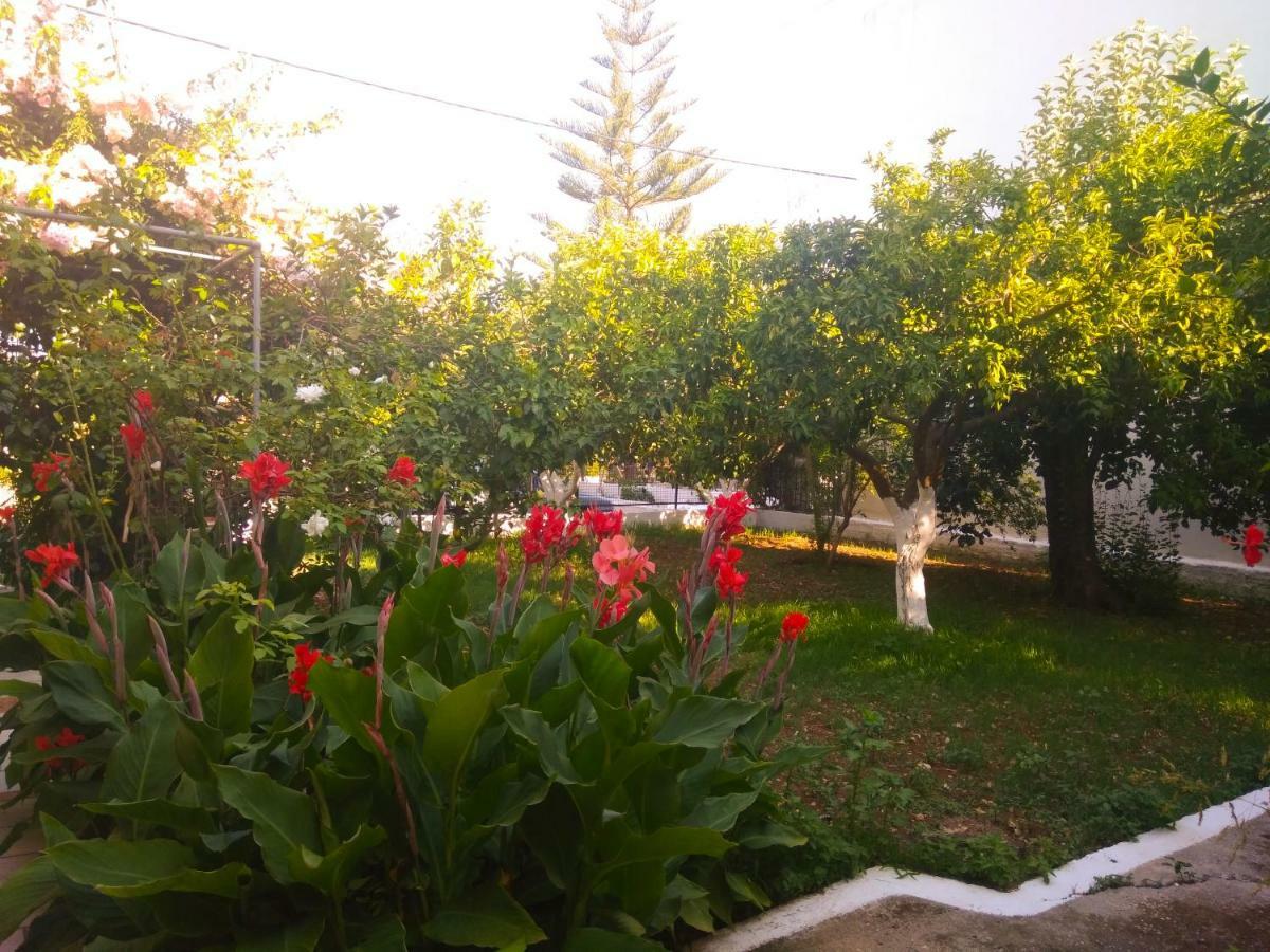 Agia EfimiaHouse With Garden Near The Seaアパートメント エクステリア 写真