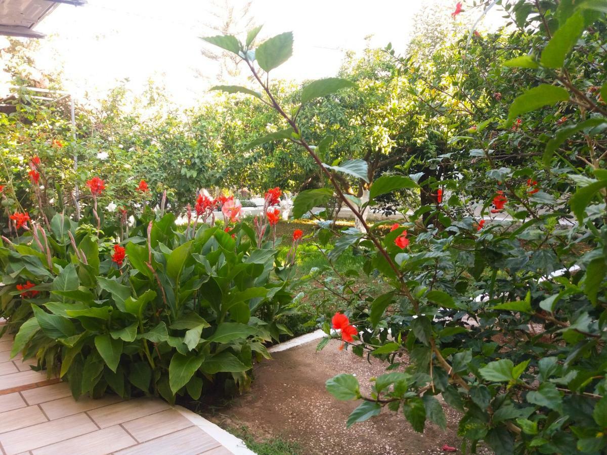 Agia EfimiaHouse With Garden Near The Seaアパートメント エクステリア 写真