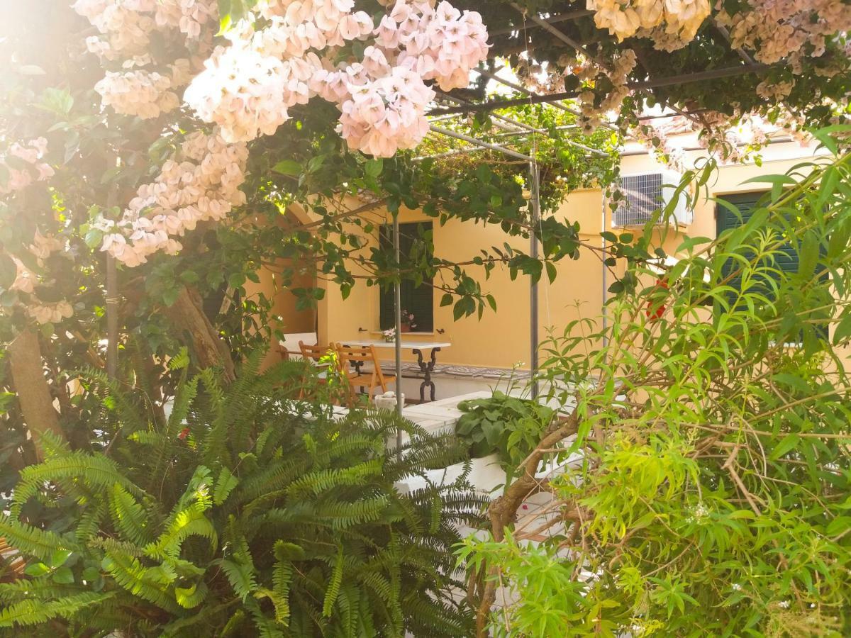 Agia EfimiaHouse With Garden Near The Seaアパートメント エクステリア 写真